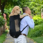 Sac à dos de transport pour animaux de compagnie — en situation