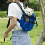 Sac à dos de transport pour animaux de compagnie — en situation