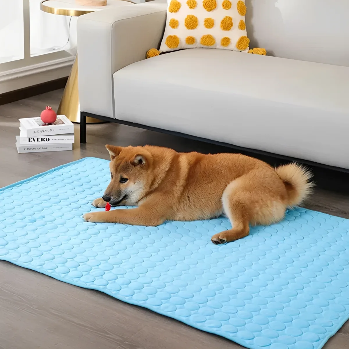 tapis rafraichissant chien detail 01