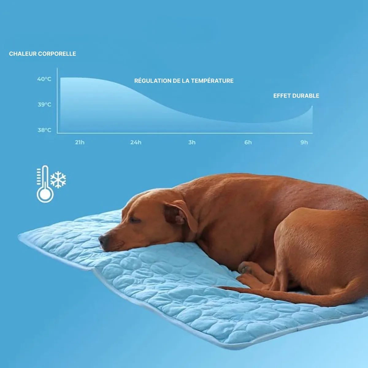 tapis rafraichissant chien detail 04