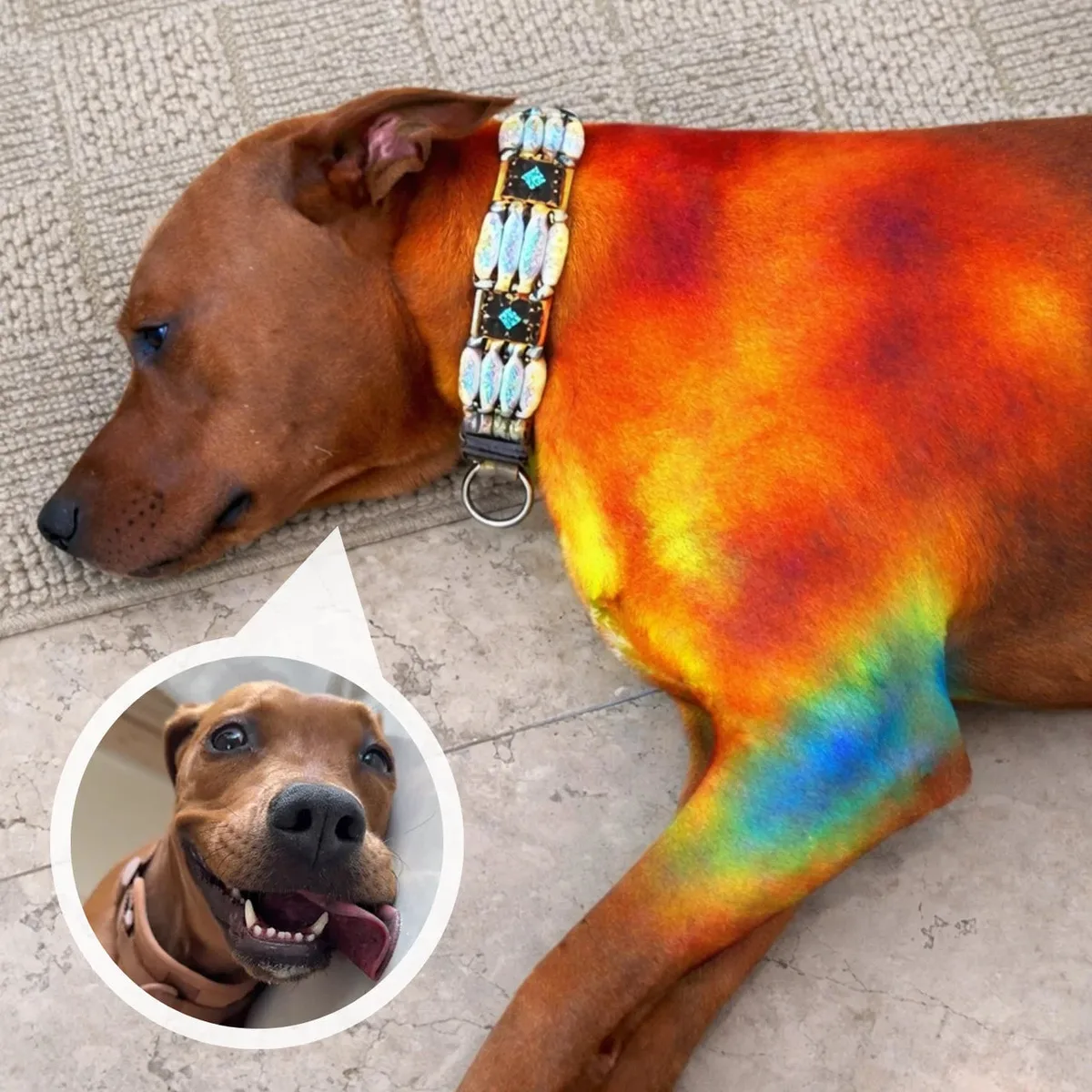 tapis rafraichissant chien detail 10