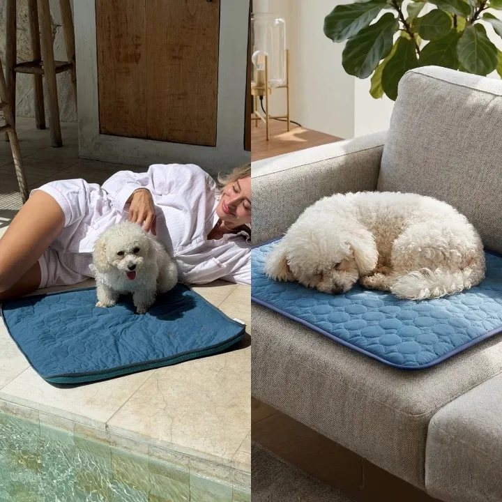 tapis rafraichissant chien detail 12