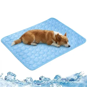 Tapis rafraîchissant pour chien, vue produit 01