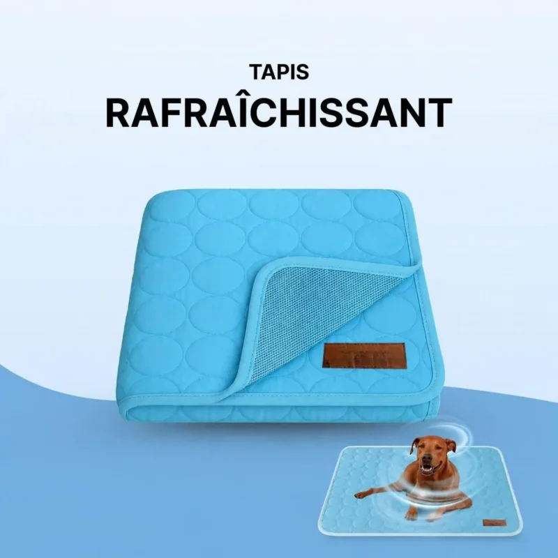 Tapis rafraîchissant pour chien, vue produit 02