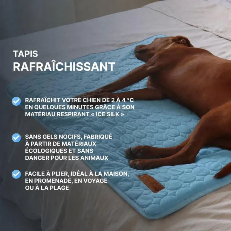 Tapis rafraîchissant pour chien, vue produit 03