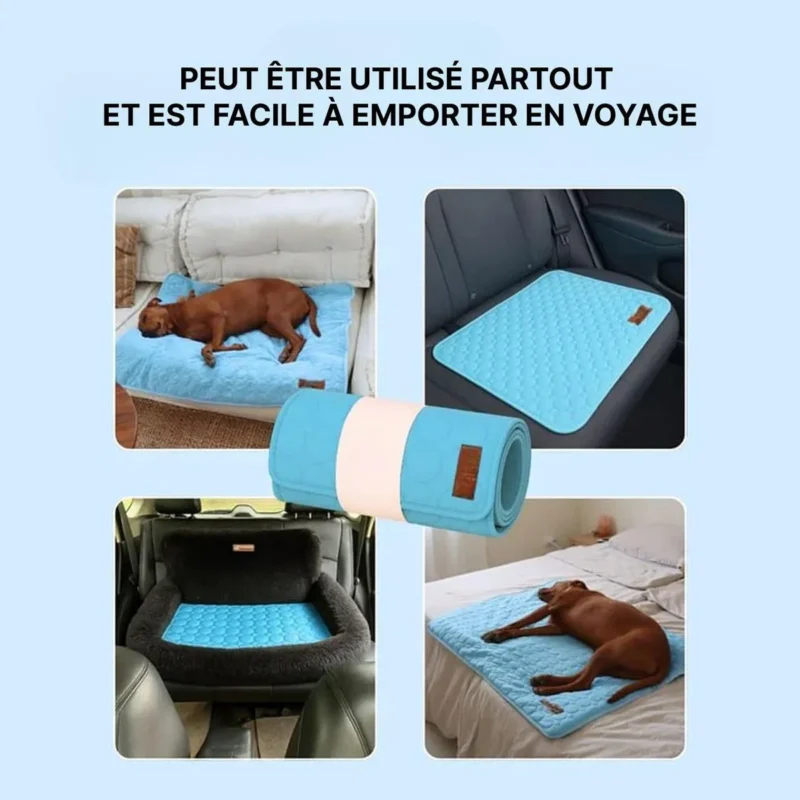 Tapis rafraîchissant pour chien, vue produit 04