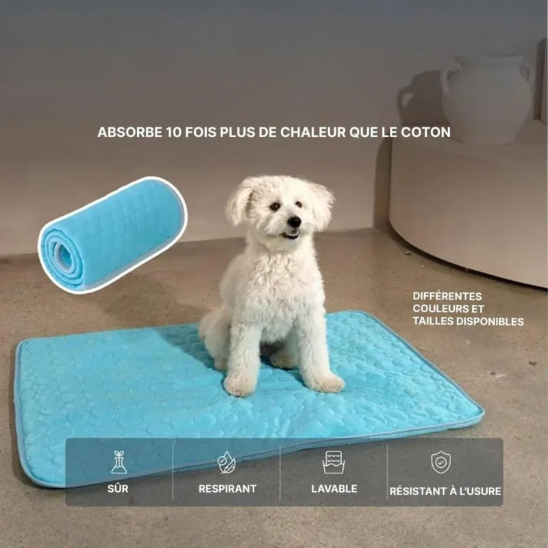 Tapis rafraîchissant pour chien, vue produit 09