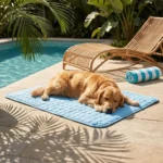 Tapis rafraîchissant pour chien - vue 12 Tapis rafraîchissant pour chien, vue produit 12
