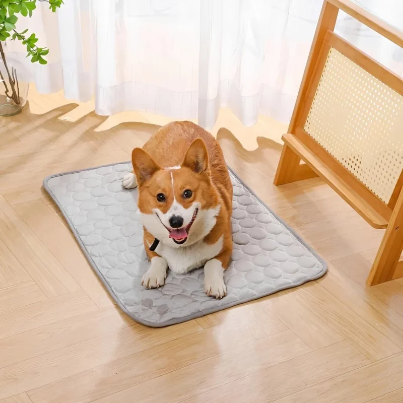 Tapis rafraîchissant pour chien, vue produit 14