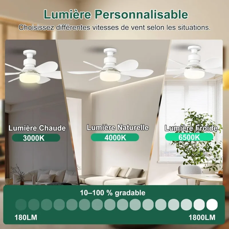 Lumière personnalisable, intensité réglable de 10 à 100 %